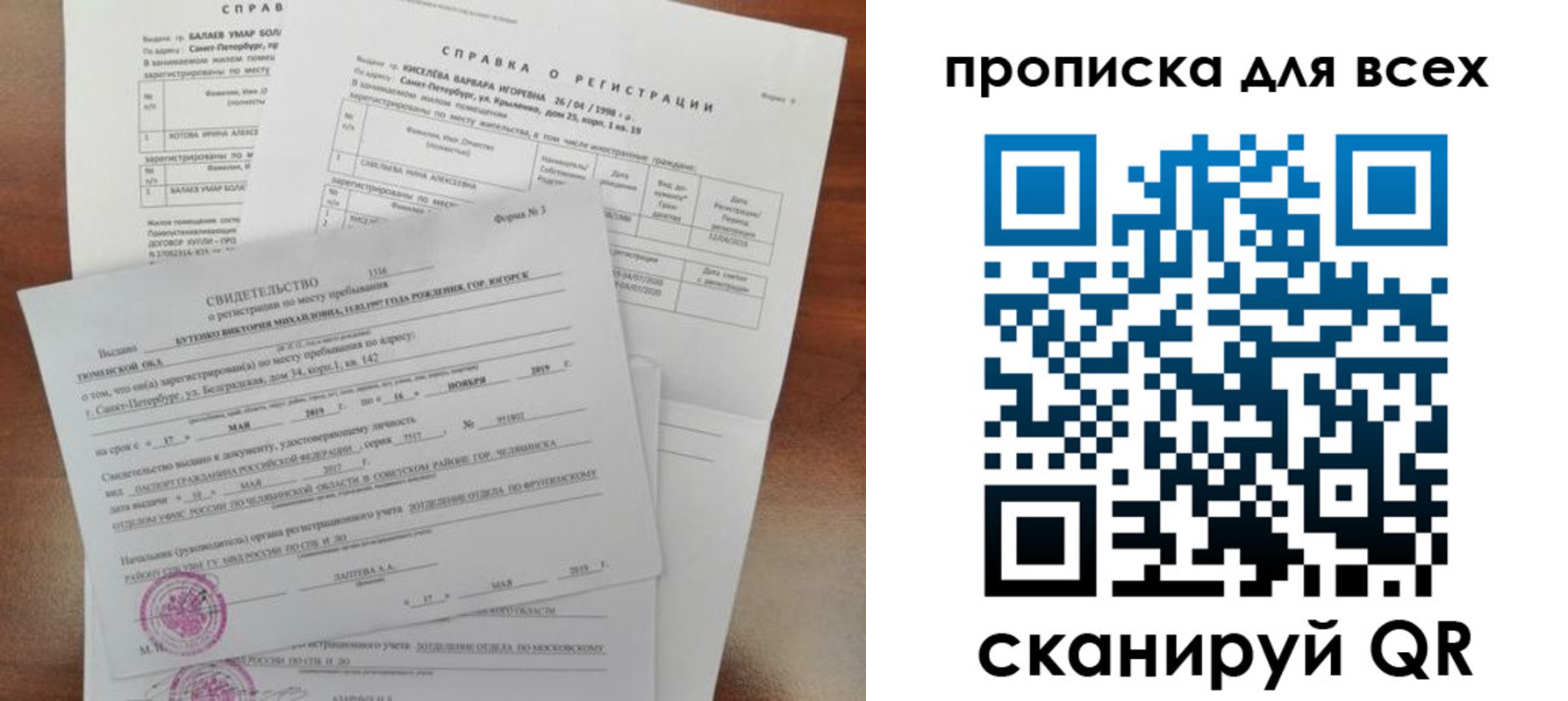 прописка поиск в Бабаево